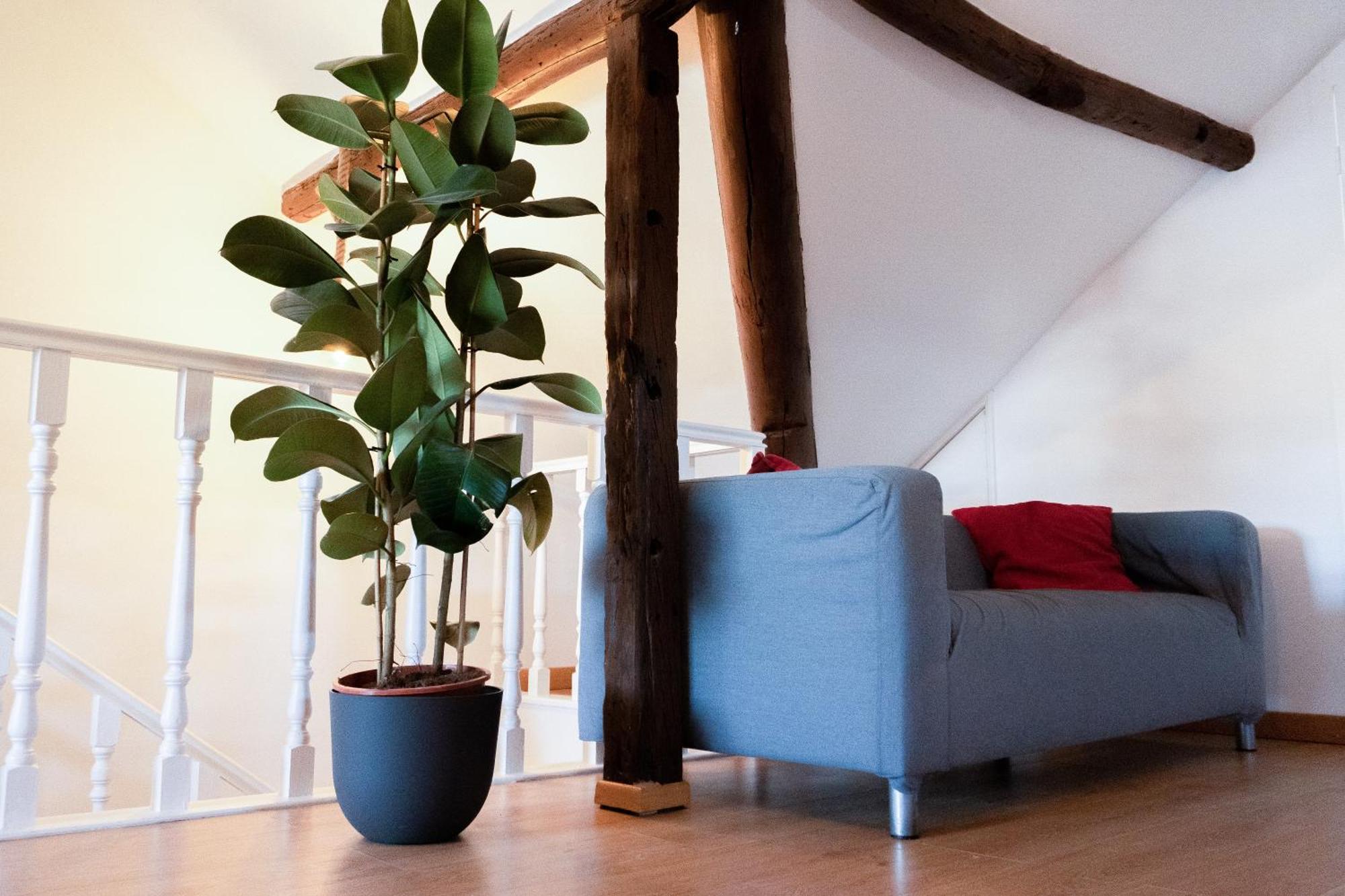 Apartamento Sao Paulo Penthouse